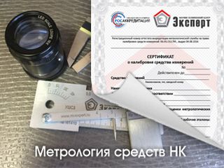 Image Caption