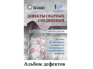 Image Caption