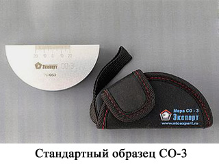 Image Caption